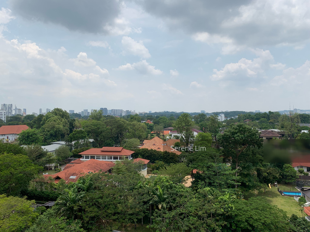 D'Leedon thumbnail photo
